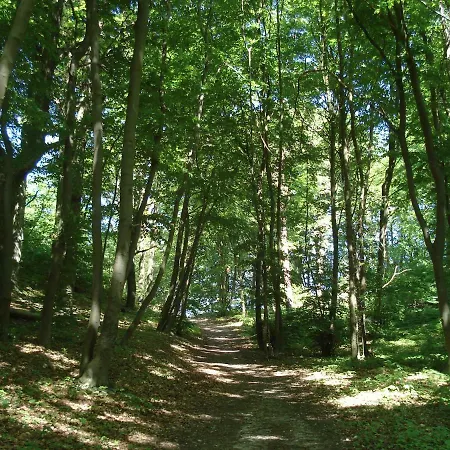 Wald, Strand & Meer *